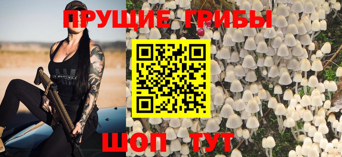 закладки  Галлюциногенные грибы Cubensis  Вход с VPN  Петрозаводск 