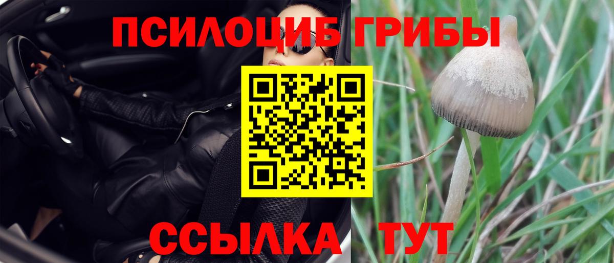 Галлюциногенные грибы прущие грибы Петрозаводск